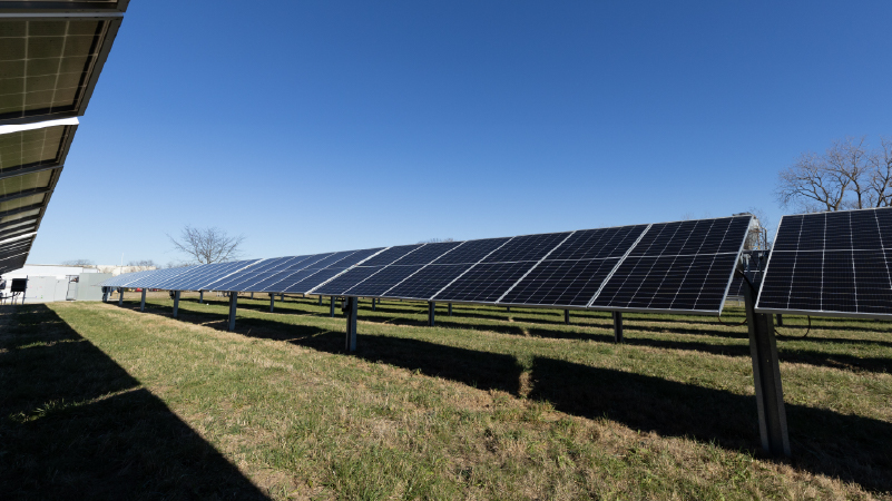 Dynamic Grid Support Image